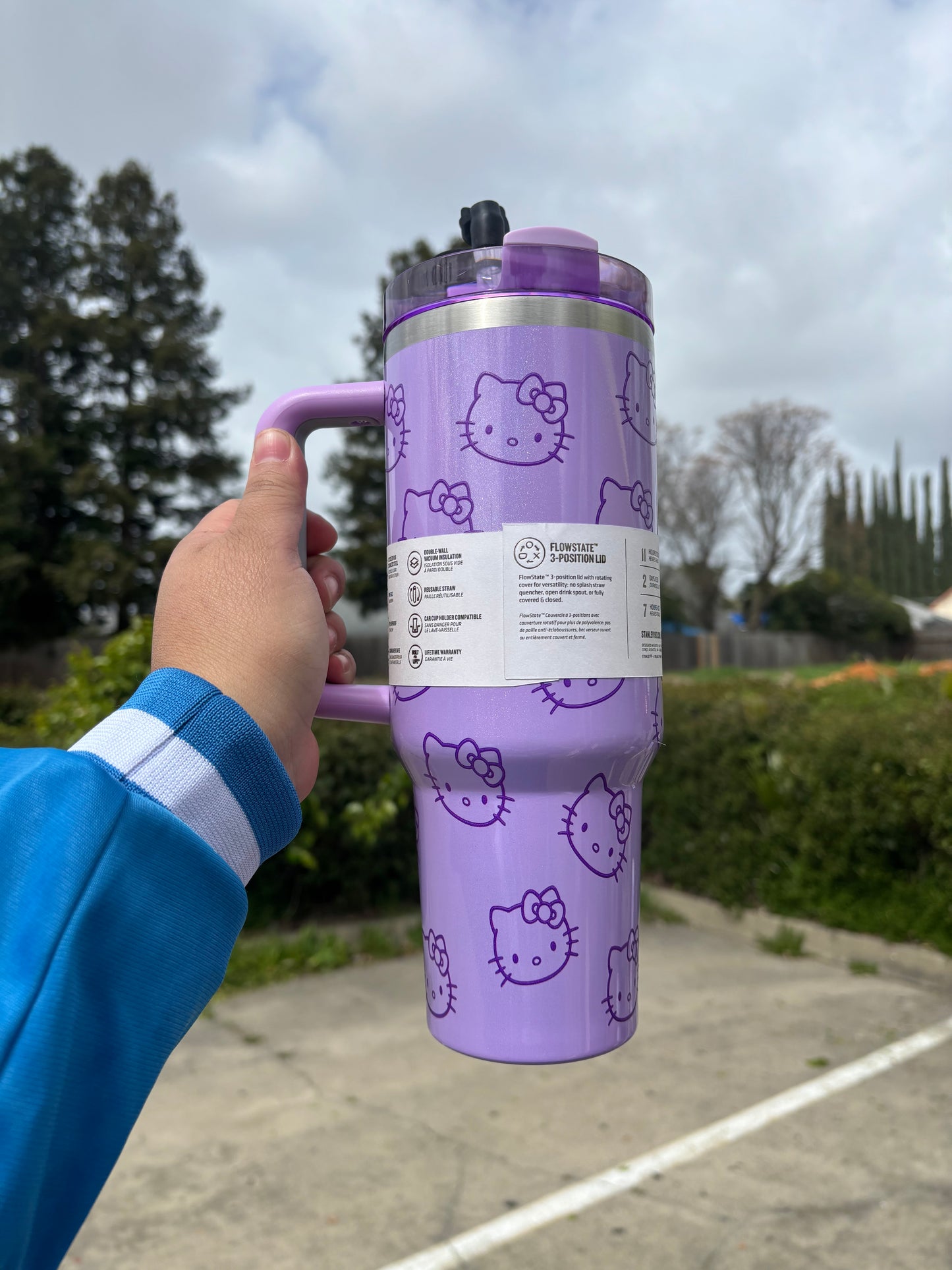 HELLO KITTY purple 40oz Tumbler STANLEY DUPE cup