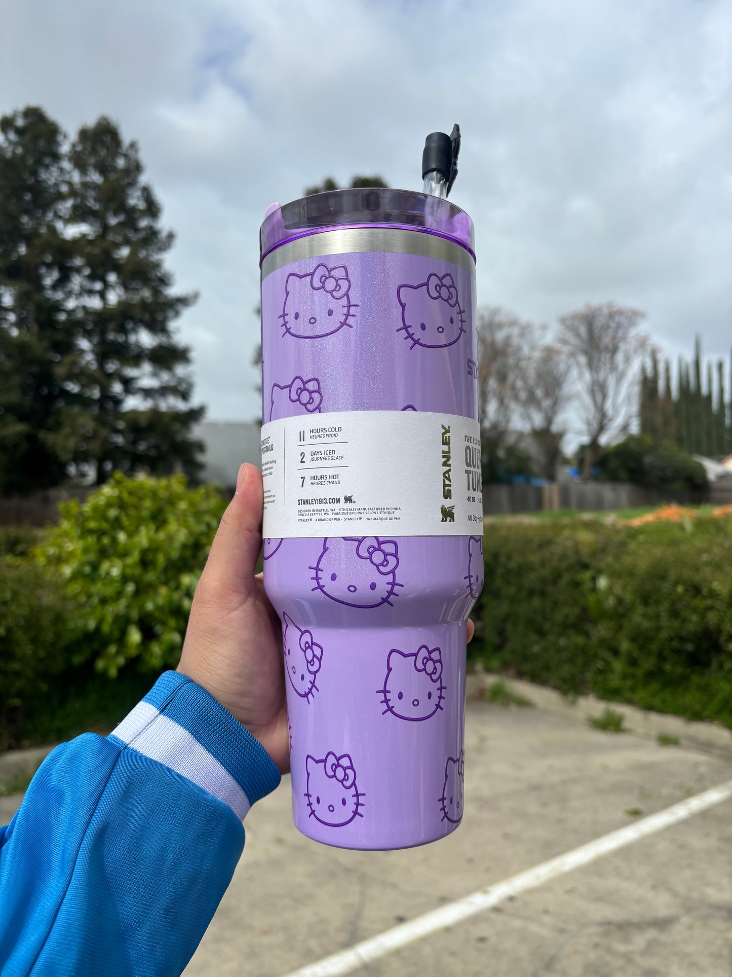 HELLO KITTY purple 40oz Tumbler STANLEY DUPE cup